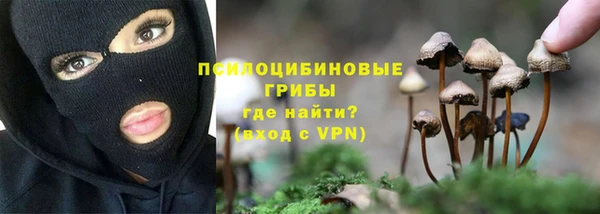 марки nbome Алексеевка