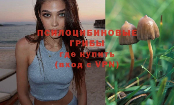 мескалин Алексин